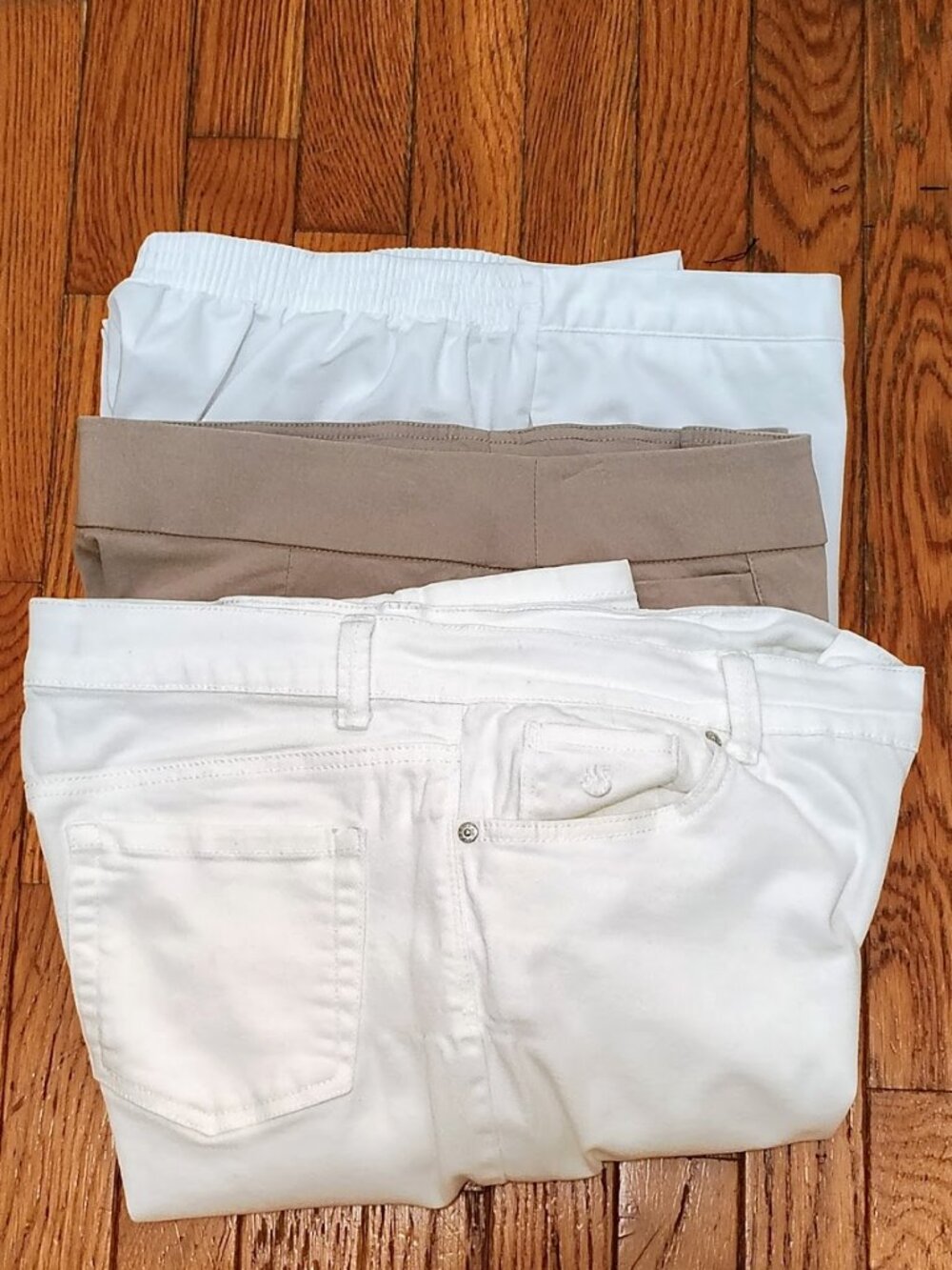 Petite Pants BUNDLE: Gloria Vanderbilt, Kim Rogers, Alfred Dunner (14P/12P)
